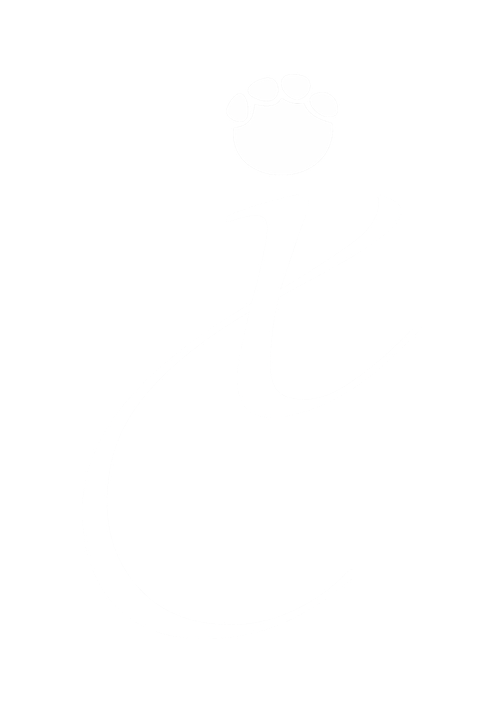 xin